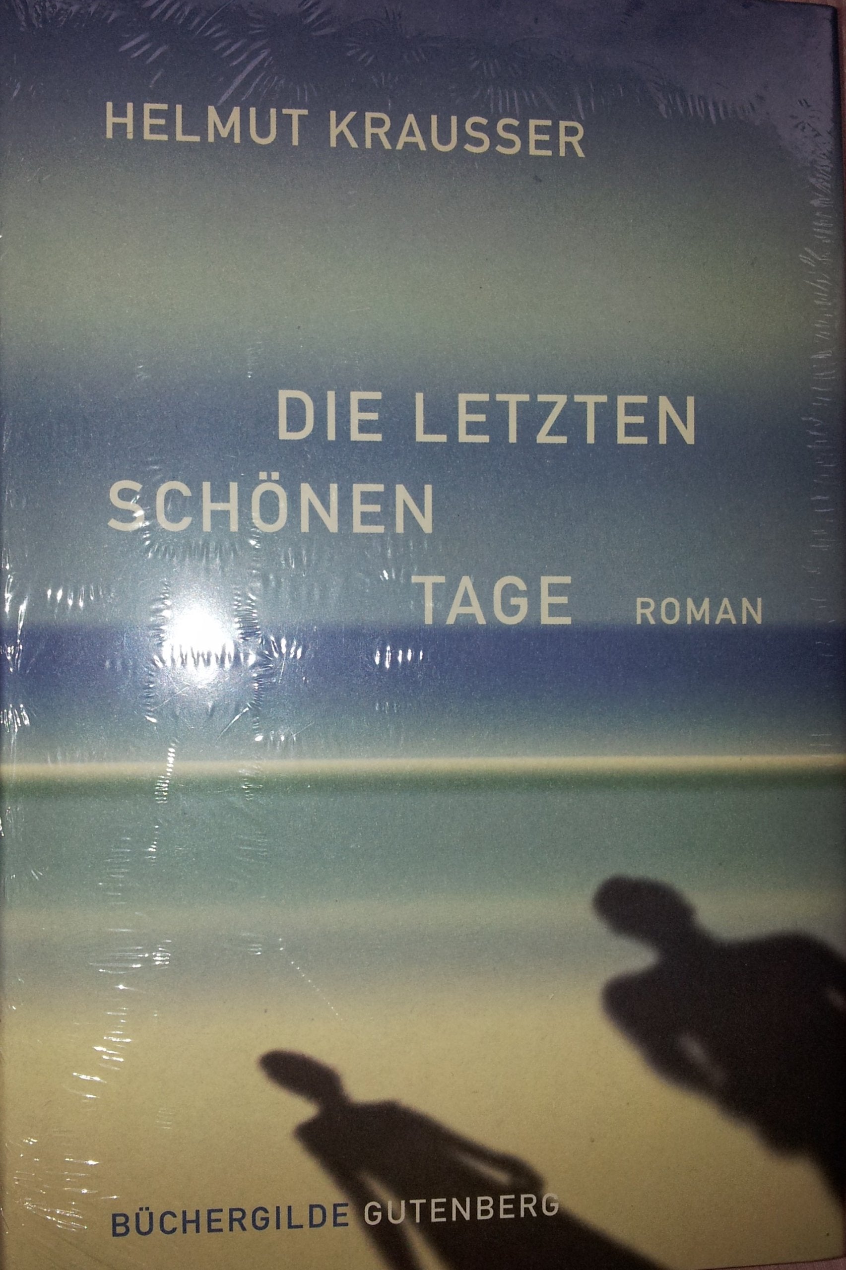 Die letzten schönen Tage, Roman, Books