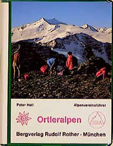 Ortleralpen: Ein Führer für Täler, Hütten und Berge (Alpenvereinsführer) Leisure, Home & Garden