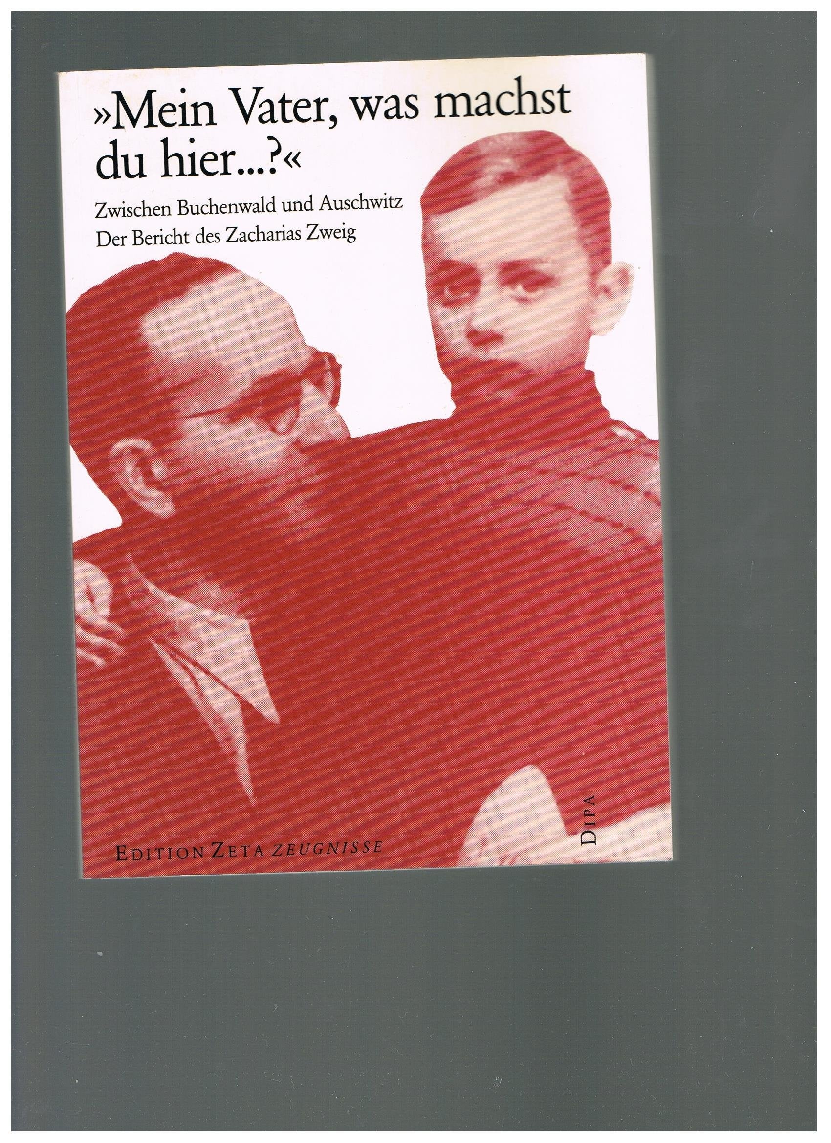 Mein Vater, was machst du hier...?. Zwischen Buchenwald und Auschwitz German history
