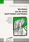 Wie Phoenix aus der Asche durch Fordern und Fördern Business, Finance & Career