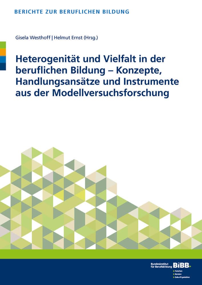 Heterogenität und Vielfalt in der beruflichen Bildung: Konzepte, Handlungsansätze und Instrumente aus der Modellversuchsforschung (Berichte zur beruflichen Bildung) Business, Finance & Career
