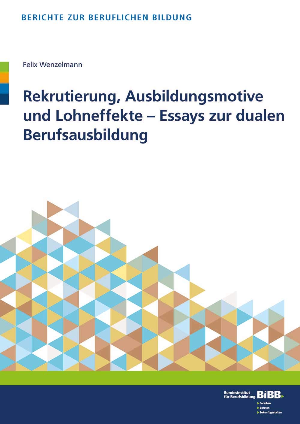 Rekrutierung, Ausbildungsmotive und Lohneffekte - Essays zur dualen Berufsausbildung Books