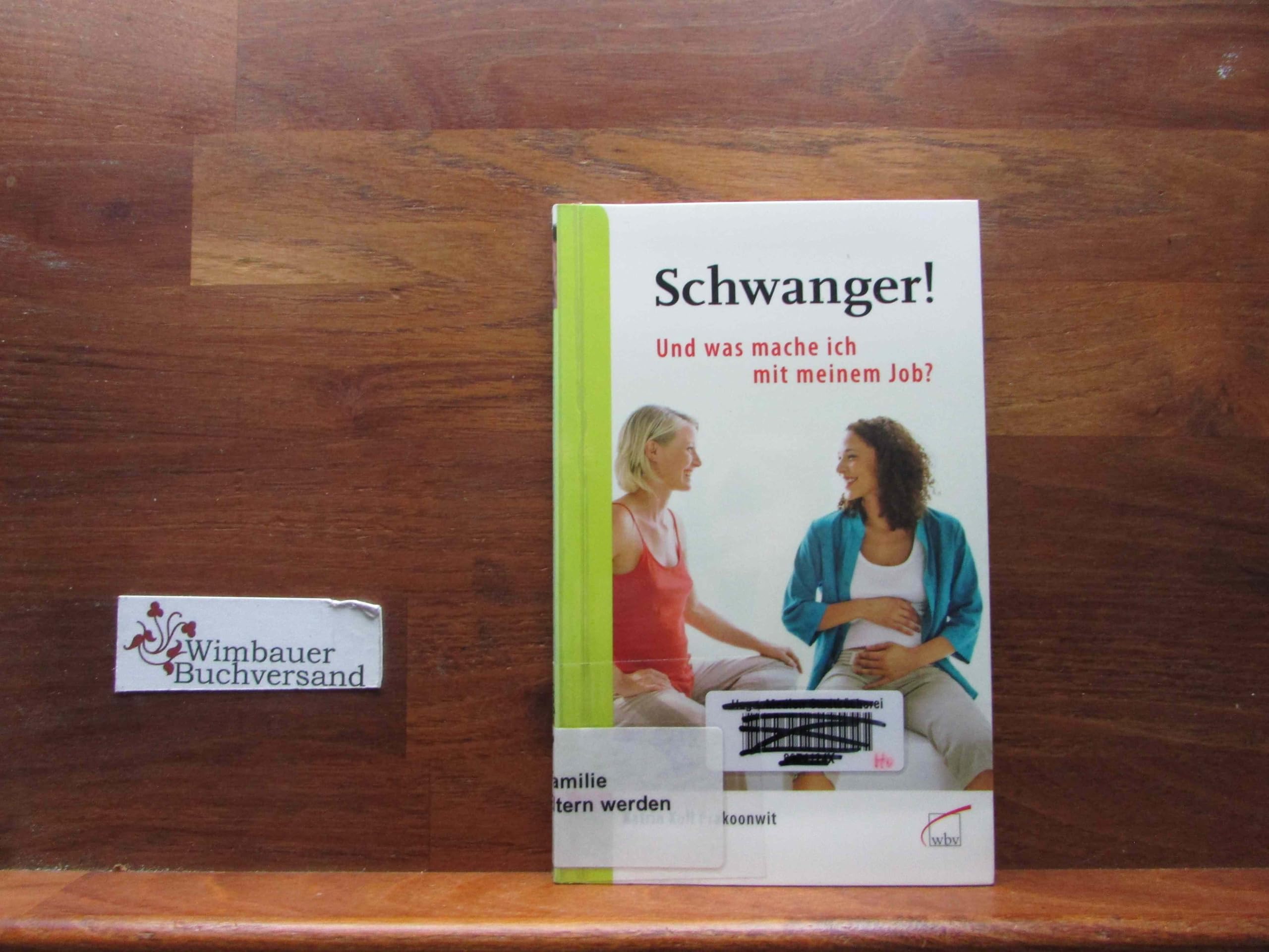 Schwanger! Und was mache ich mit meinem Job?: Vom gut geplanten Ausstieg bis zum gelungenen Wiedereinstieg Business, Finance & Career