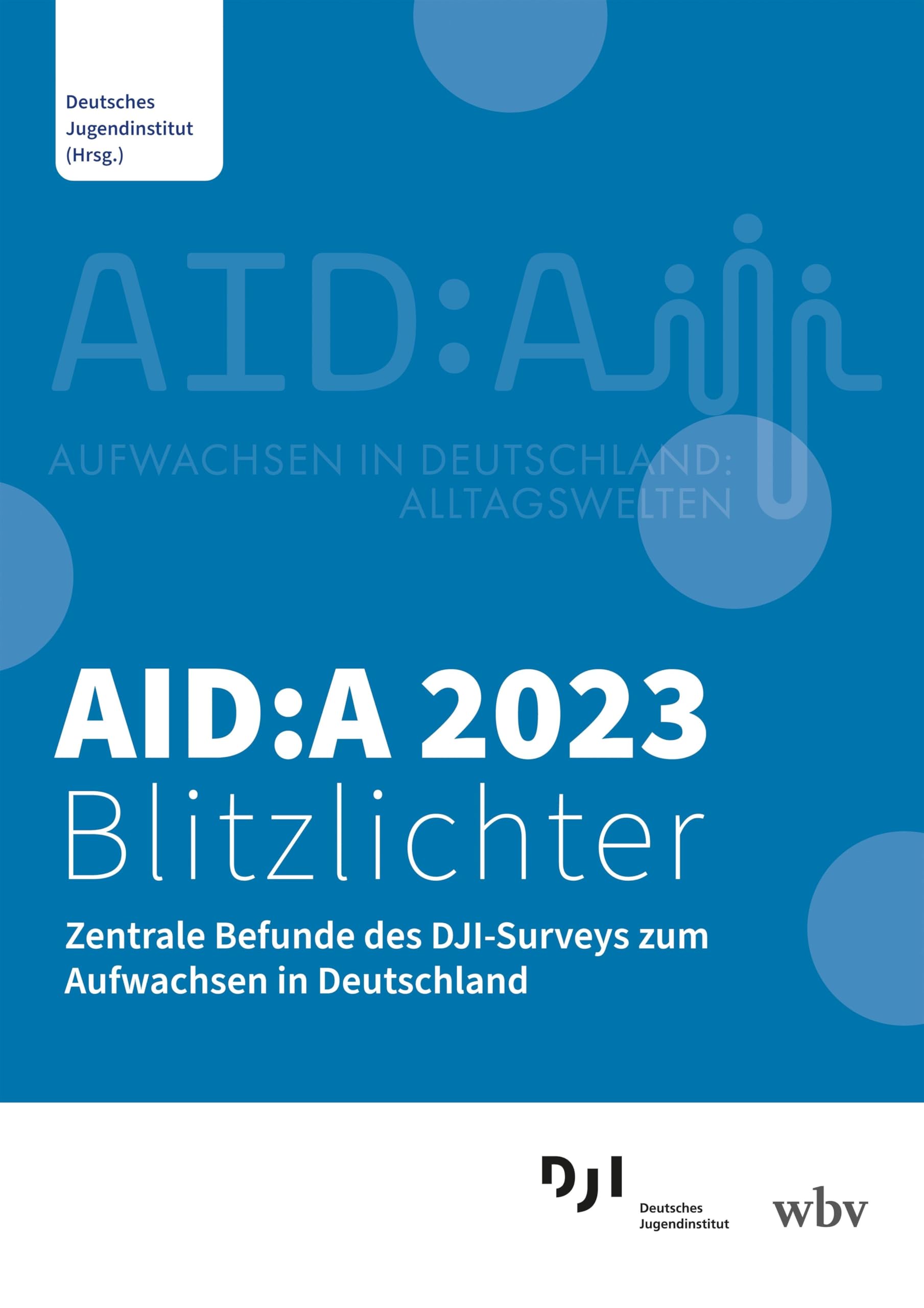 Product Image: AID:A 2023 Blitzlichter