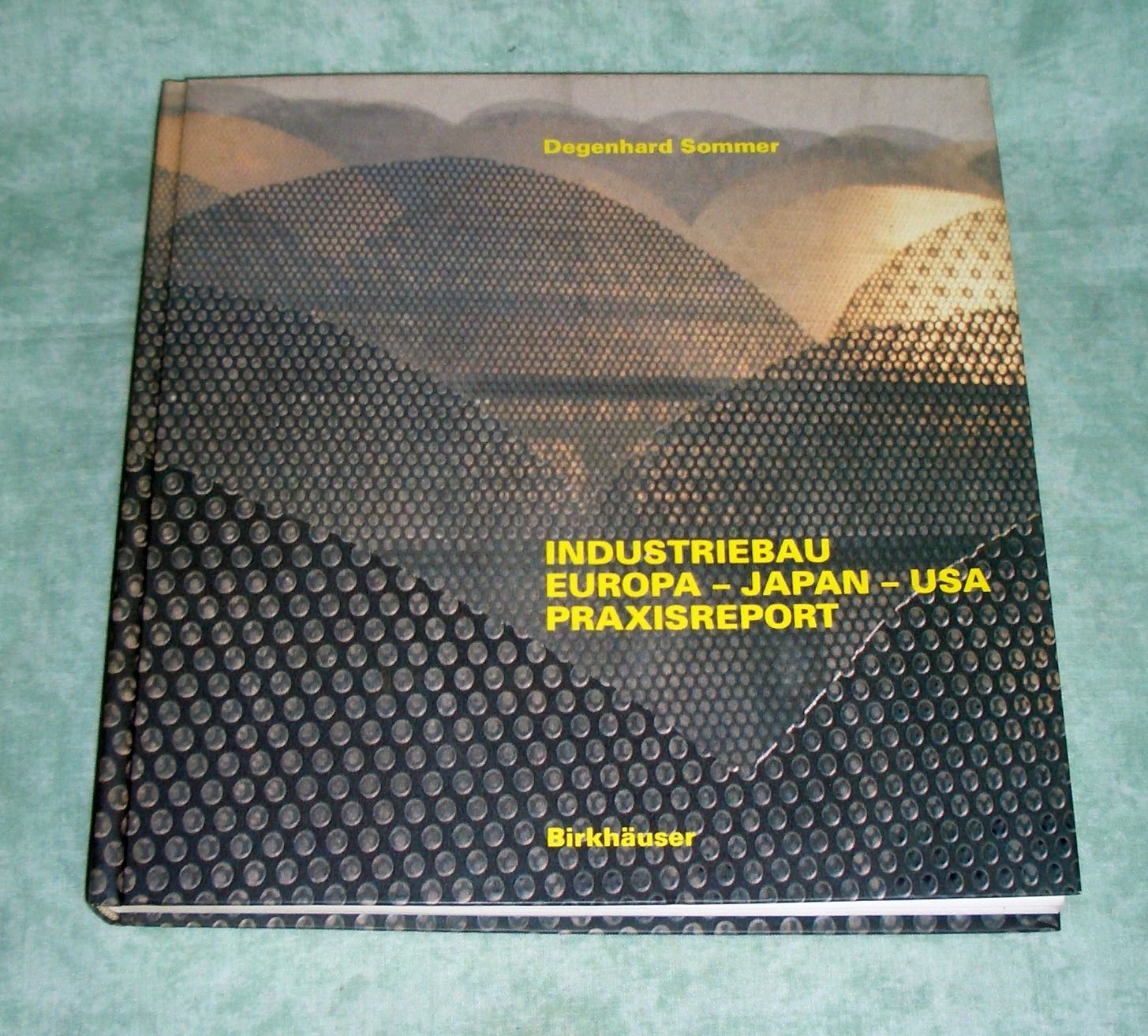 Industriebau'90: EUROPA, JAPAN, USA Praxisreport Architecture