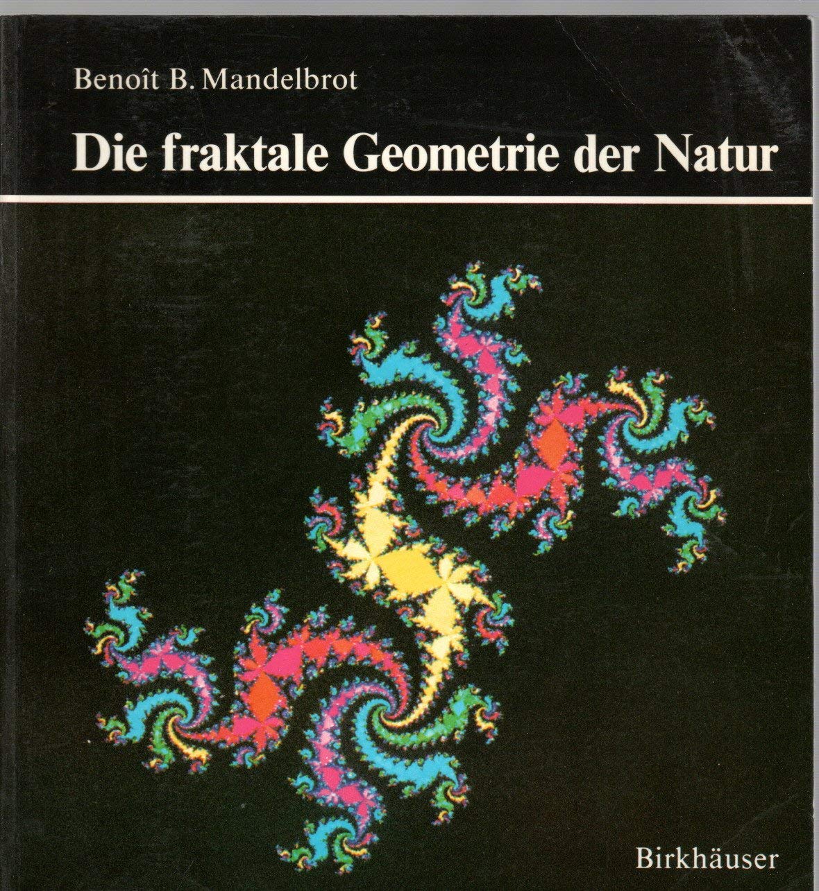 Die fraktale Geometrie der Natur Business & Technology