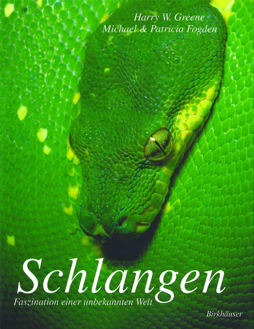 Schlangen: Faszination einer unbekannten Welt Business & Technology