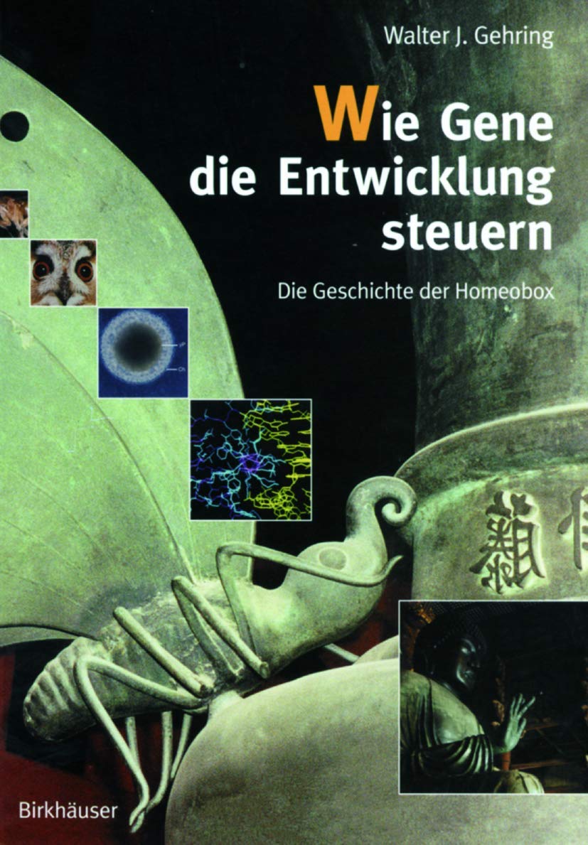 Wie Gene die Entwicklung steuern Medicine