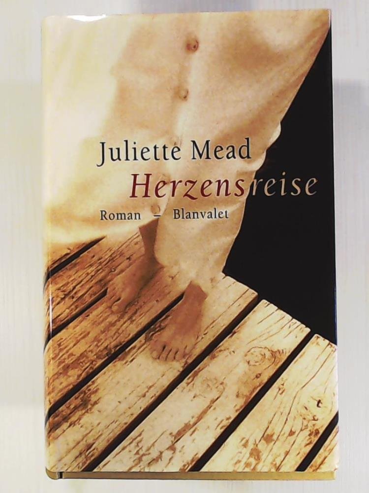 Herzensreise: Roman. Aus d. Engl. v. Christoph Göhler Fiction