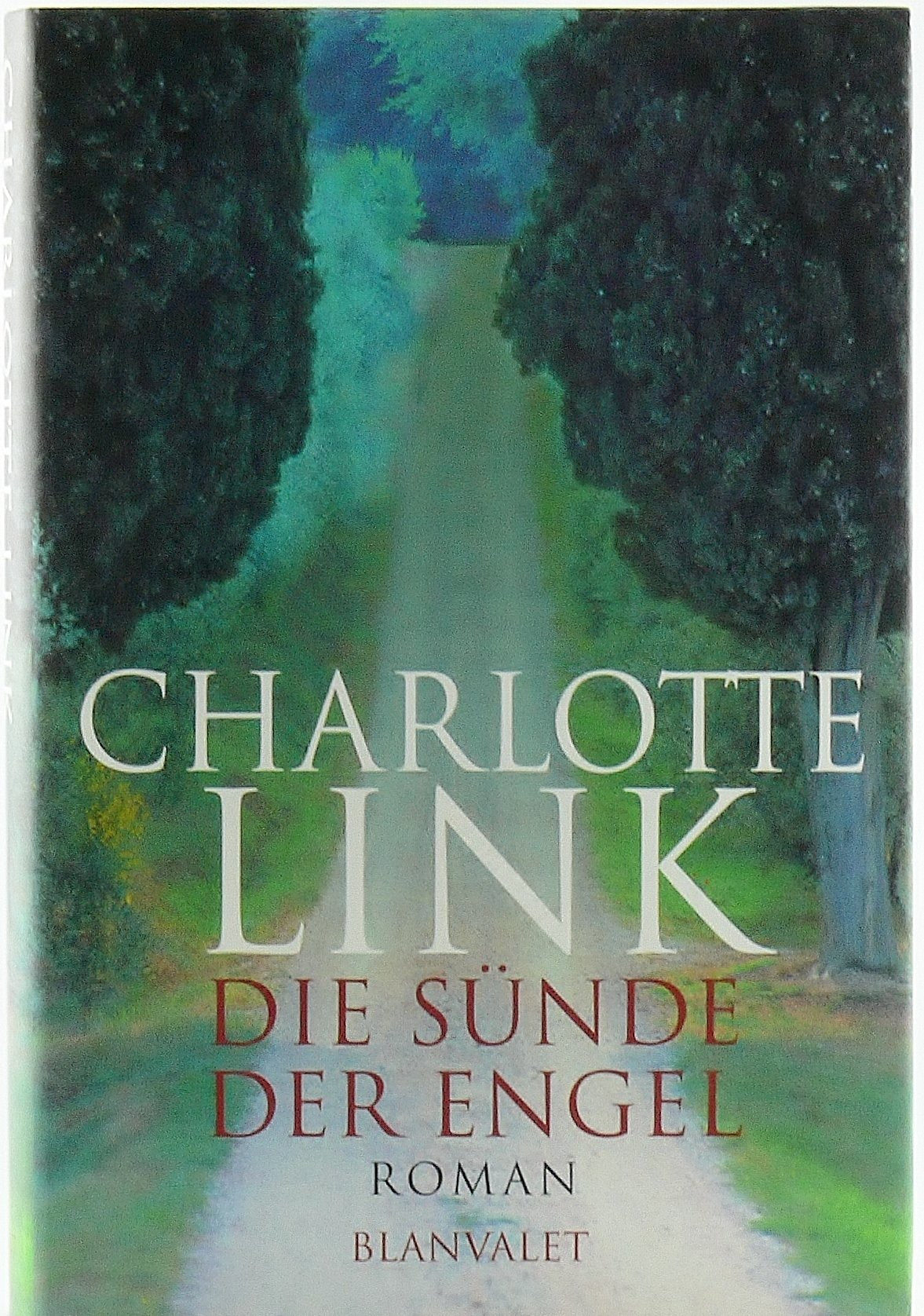 Die Sünde der Engel Contemporary literature Books
