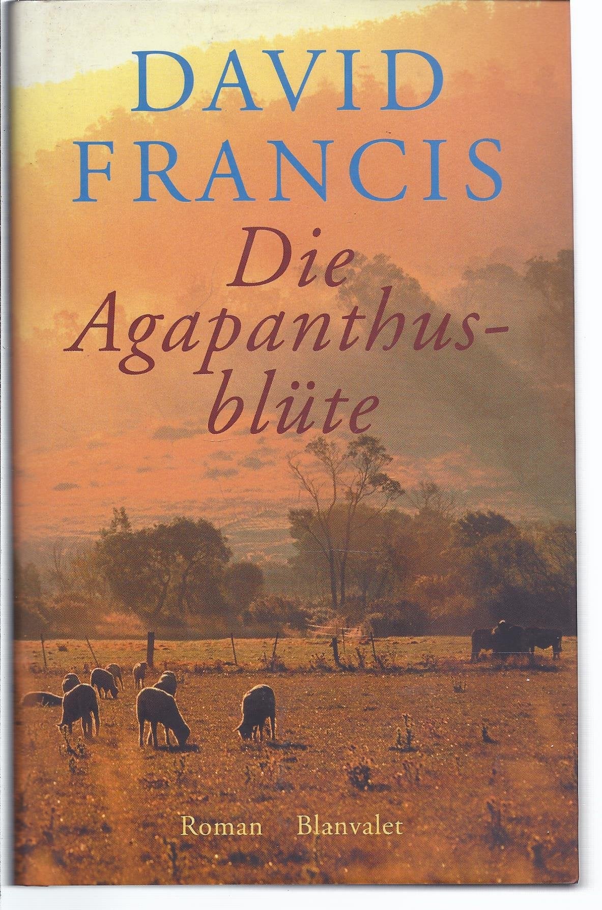 Produktbild: Die Agapanthusblüte