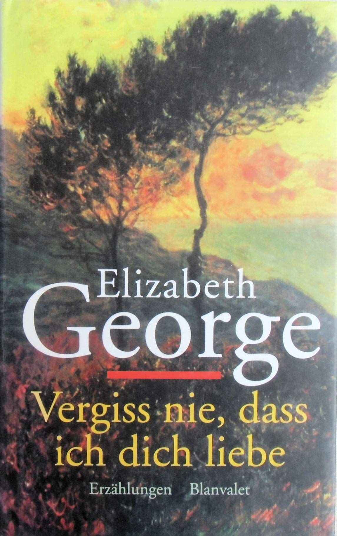 Vergiss nie, dass ich dich liebe: Erzählungen Contemporary literature