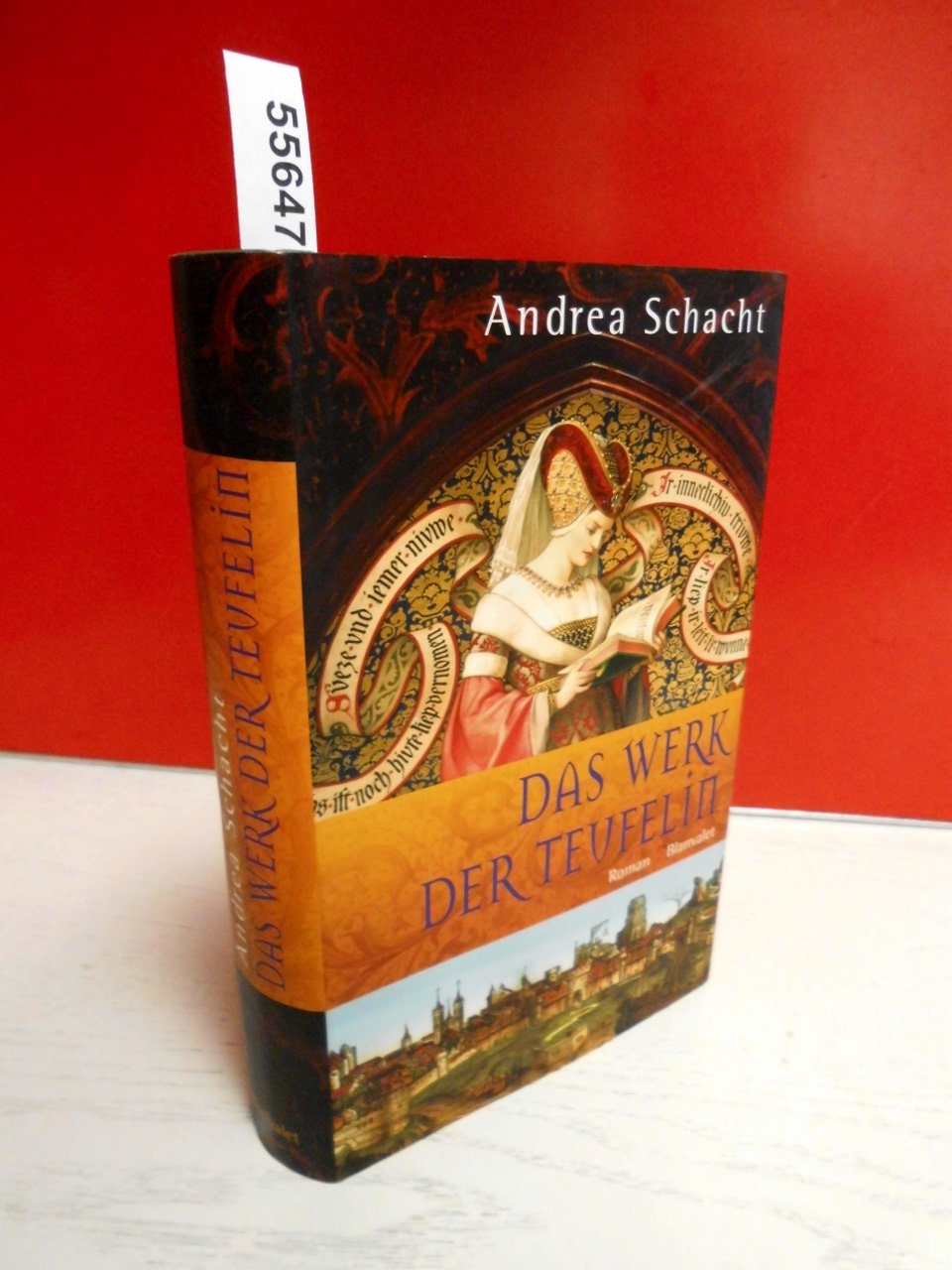 Das Werk der Teufelin: Roman Historical Fiction