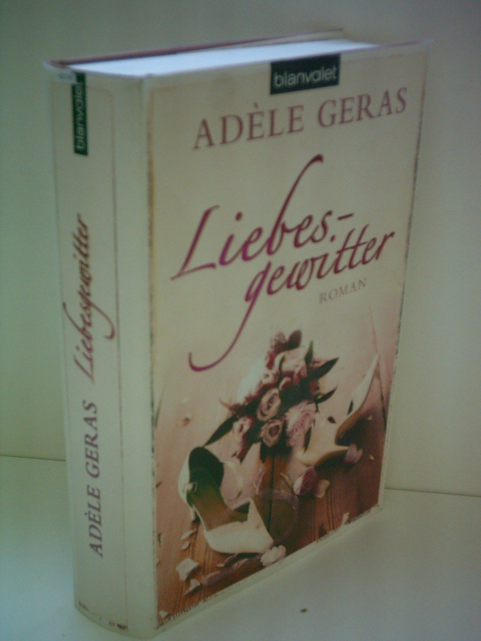 Liebesgewitter Fiction Books