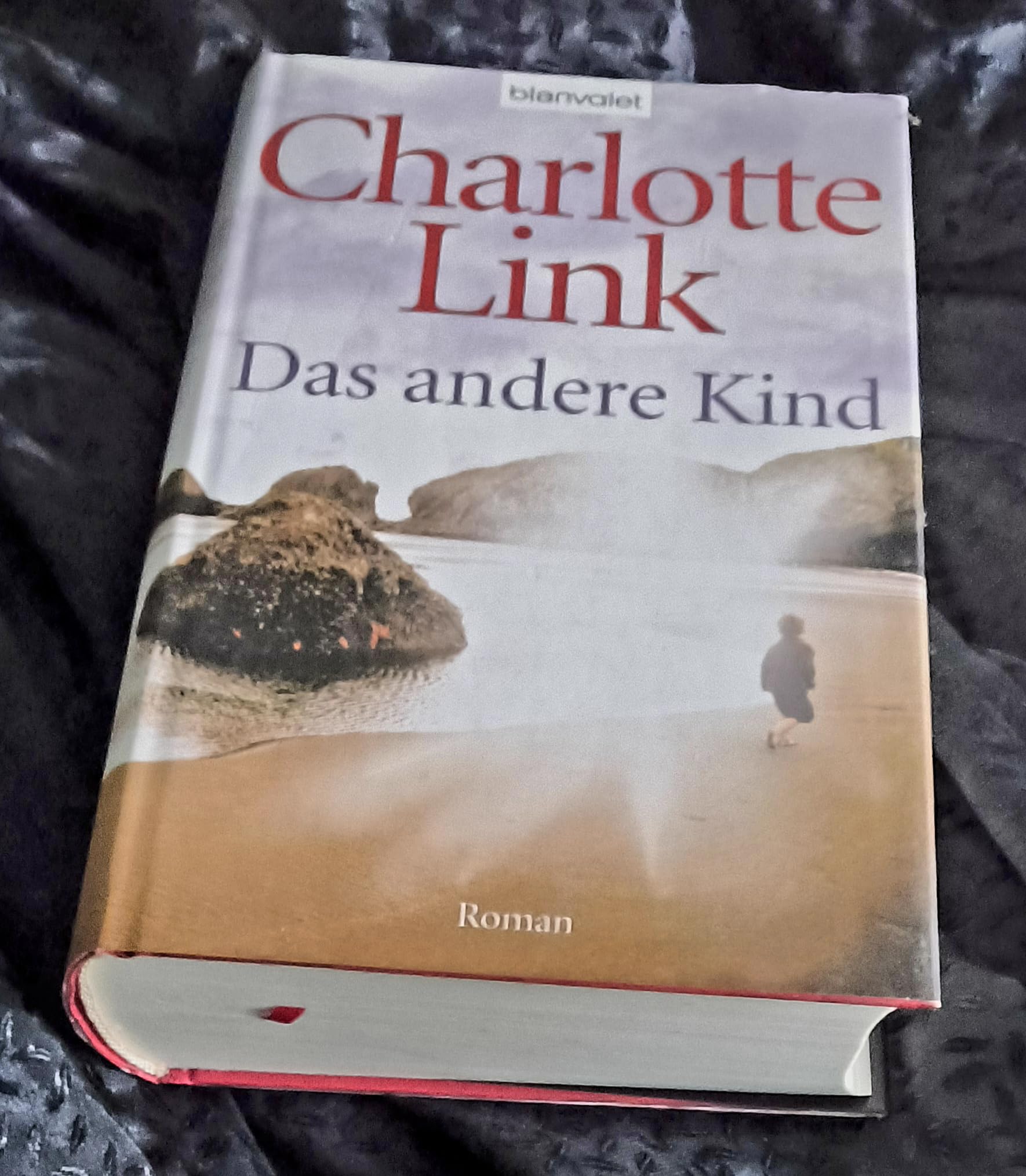 Das andere Kind Contemporary literature Books