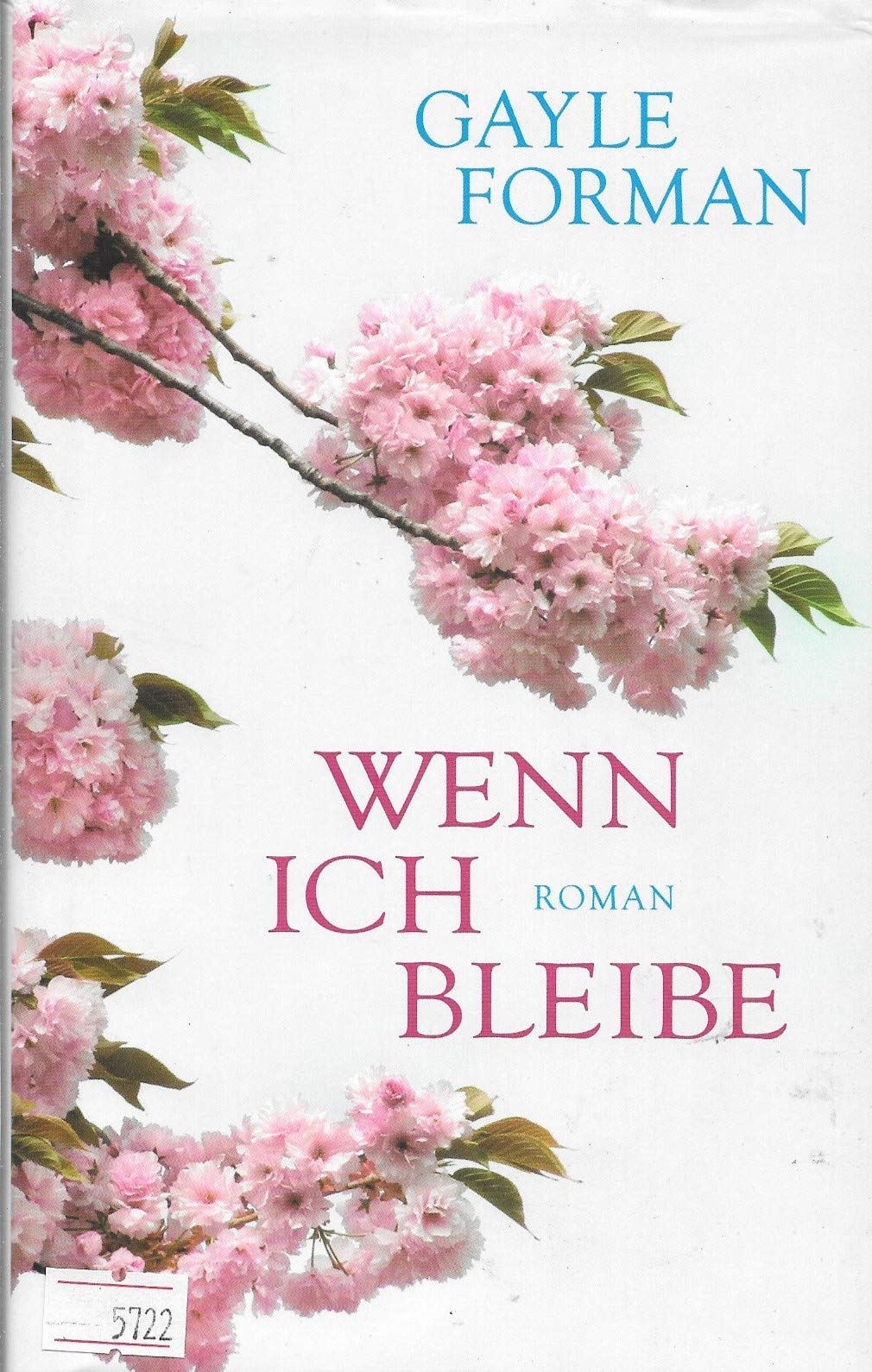 Wenn ich bleibe: Roman Contemporary literature