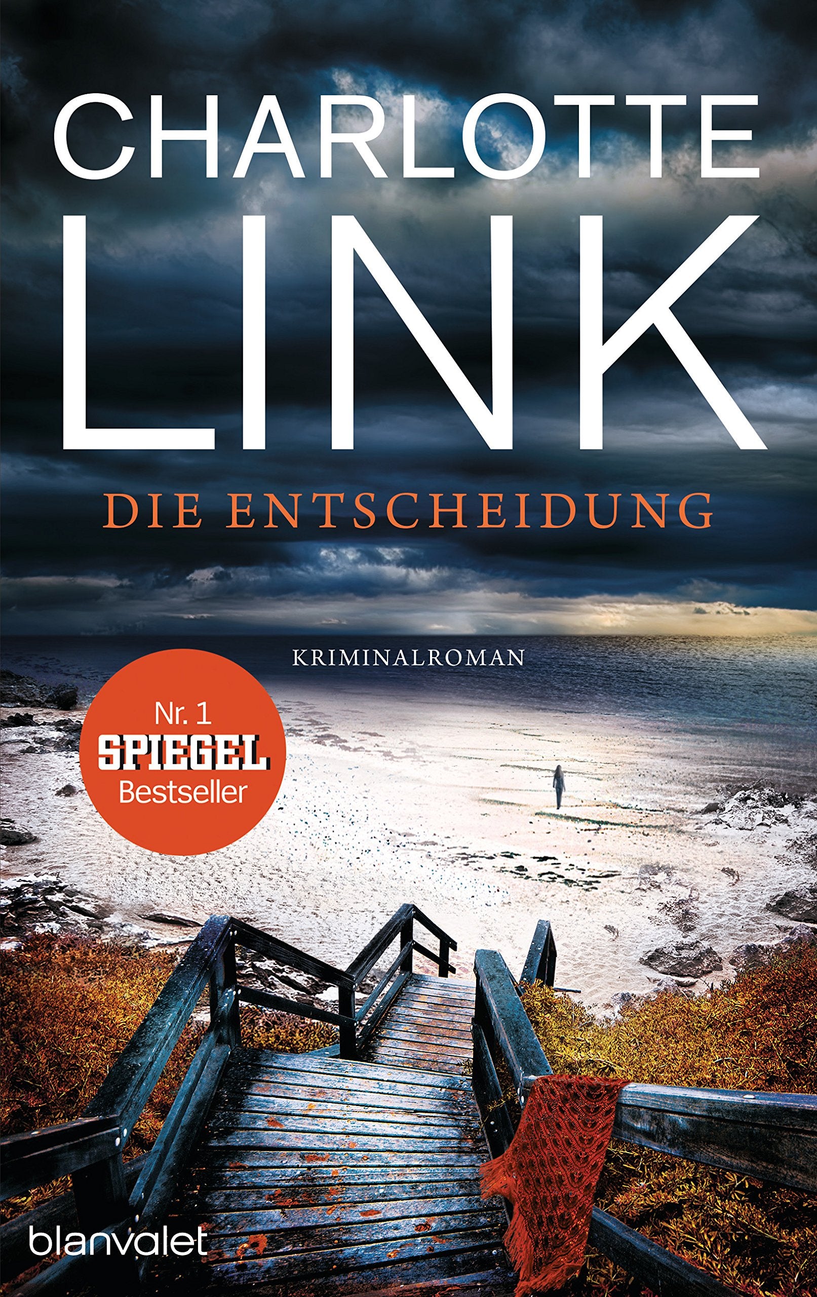 Die Entscheidung Contemporary literature Books