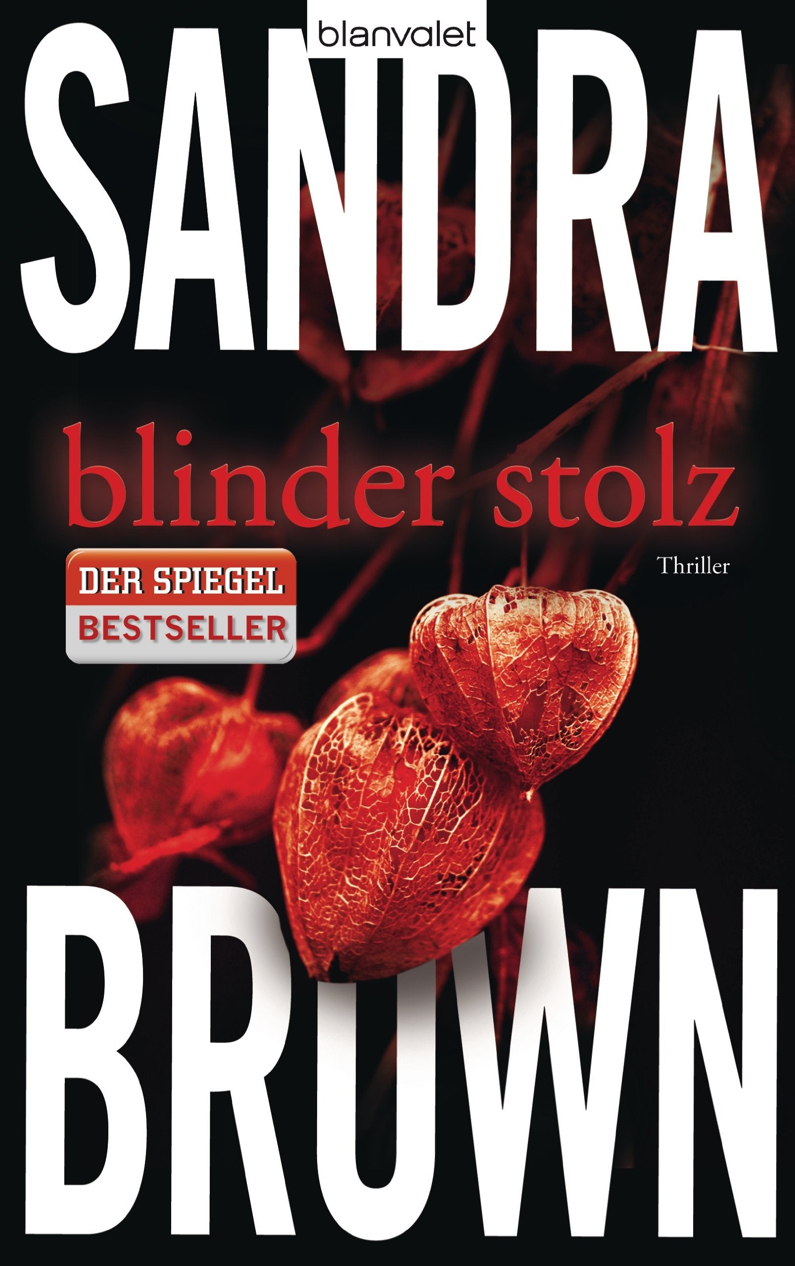 Product Image: Blinder Stolz: Thriller