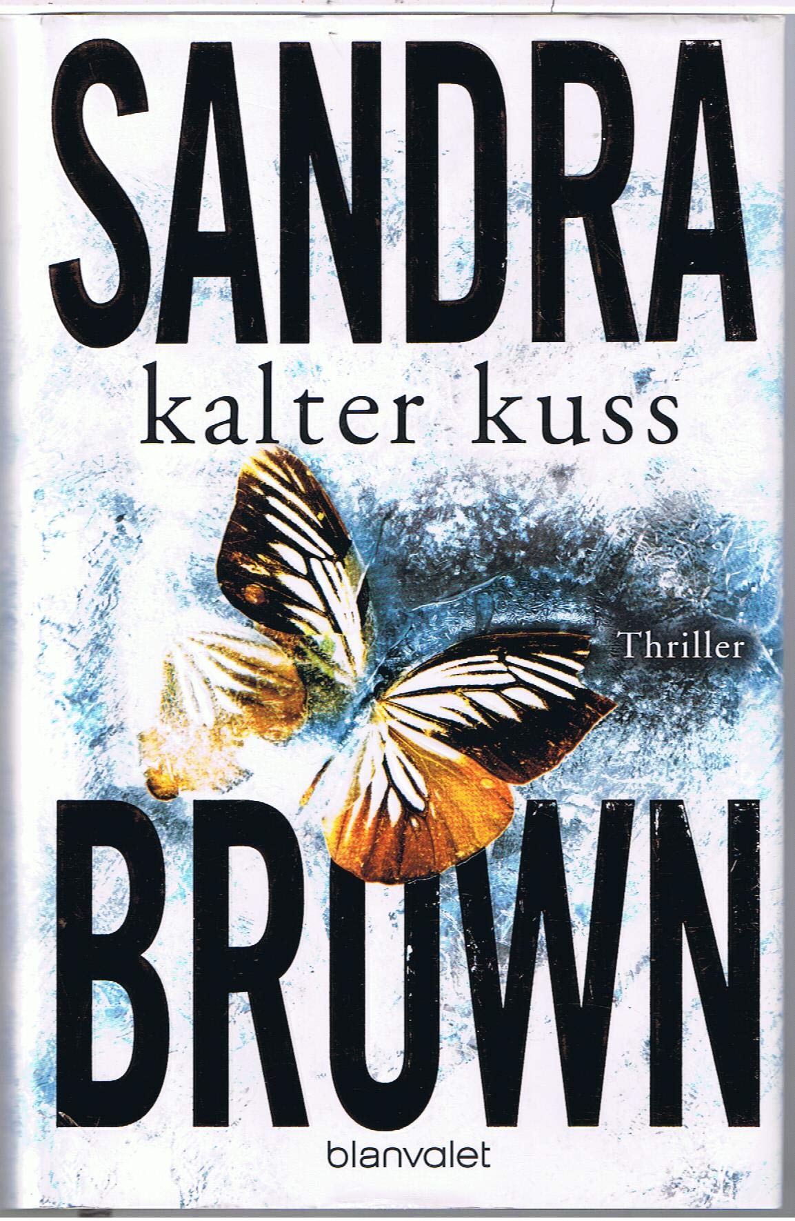 Kalter Kuss: Thriller Contemporary literature Books