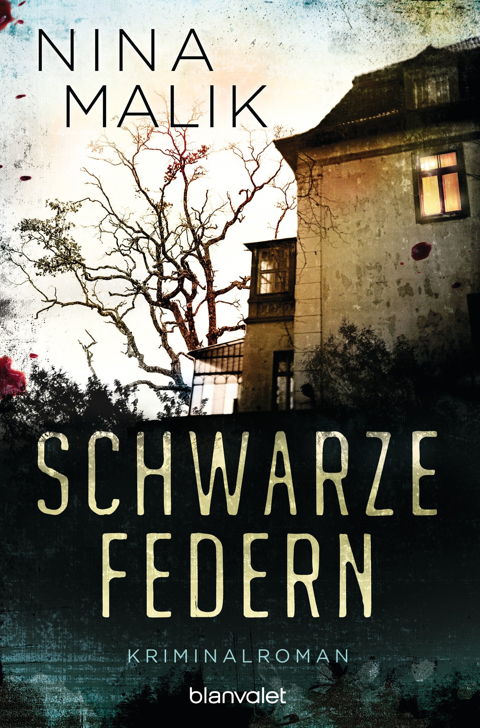 Schwarze Federn Contemporary literature Books