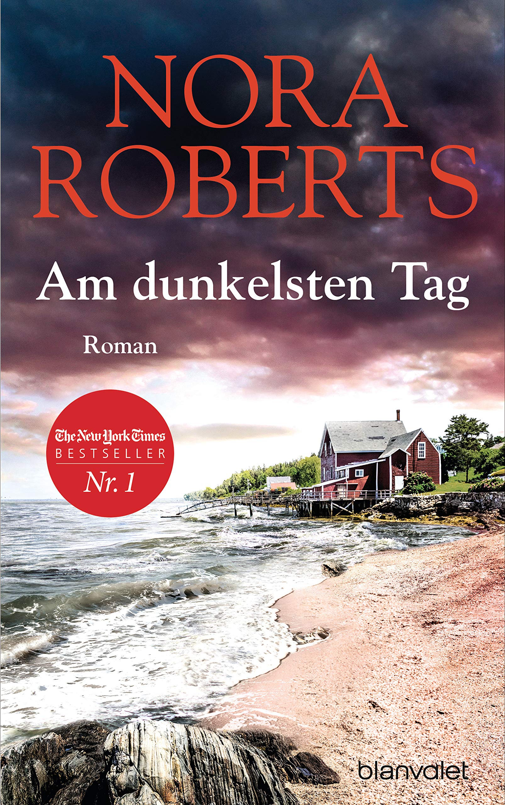 Am dunkelsten Tag Contemporary literature Books
