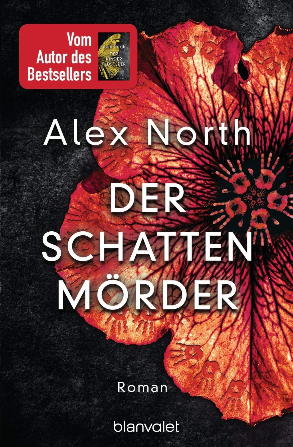 Der Schattenmörder Contemporary literature Books
