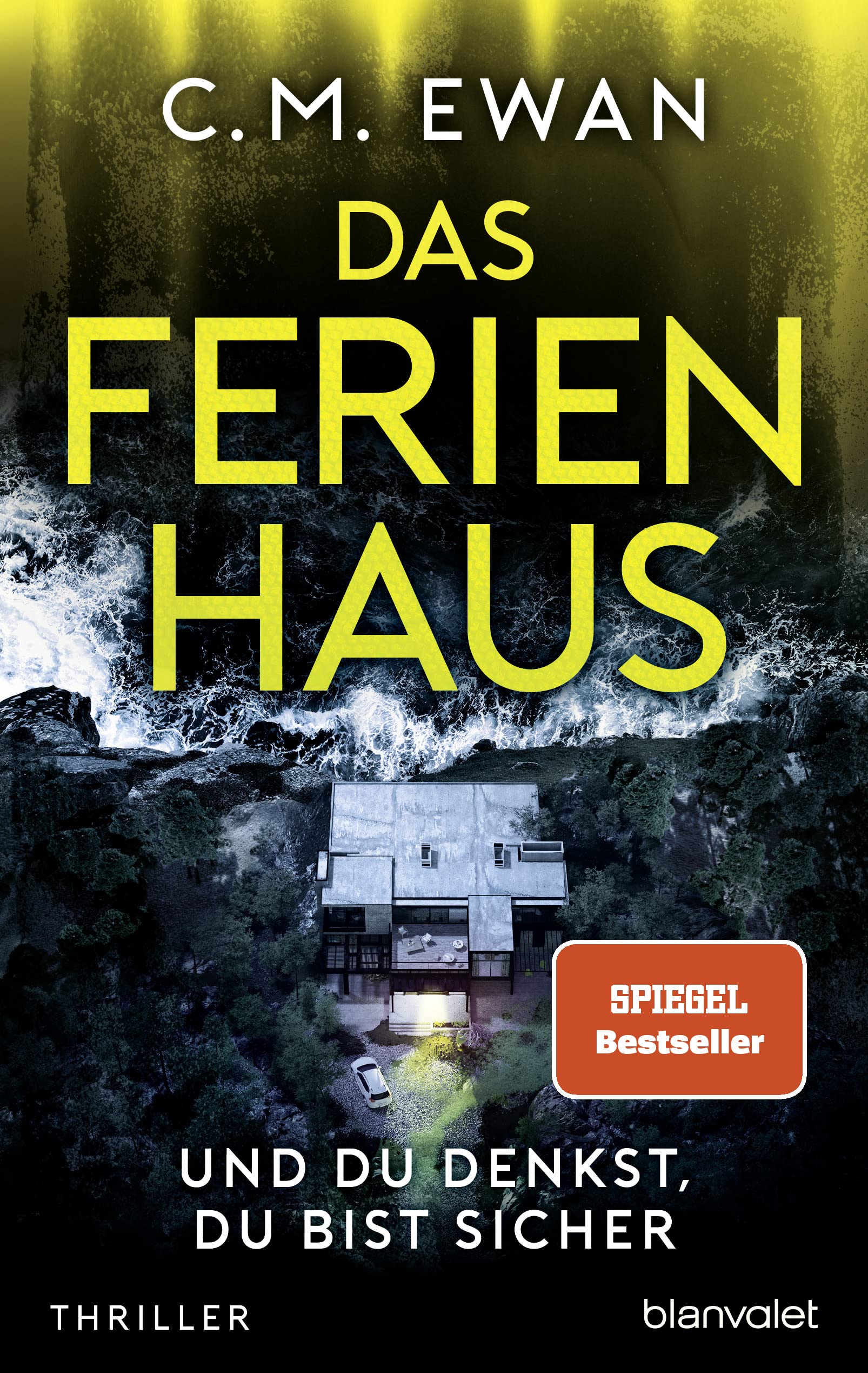 Das Ferienhaus - Und du denkst, du bist sicher Contemporary literature