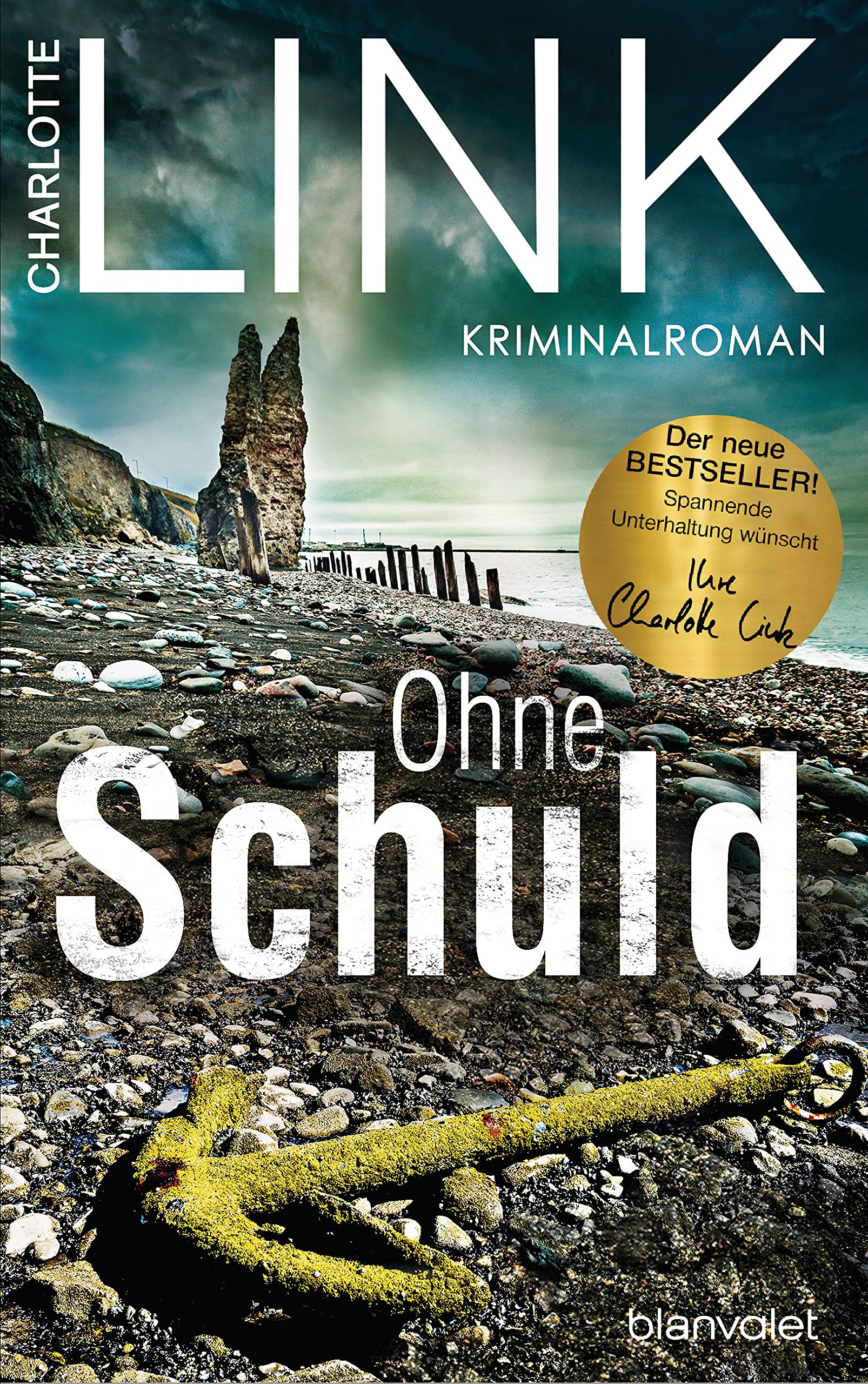 Ohne Schuld Contemporary literature Books