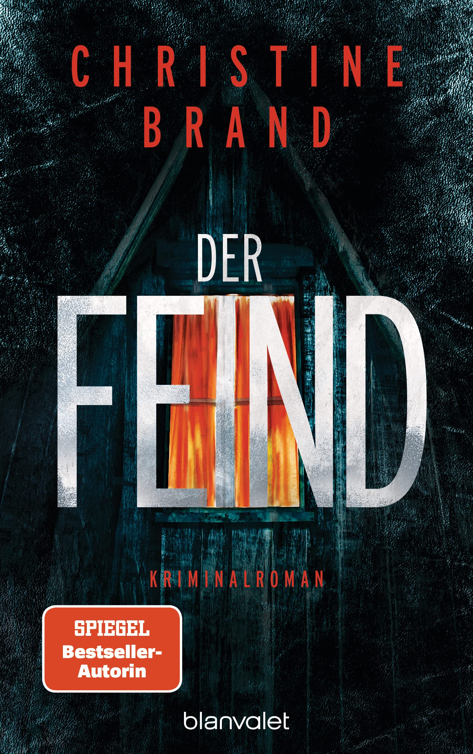 Der Feind Contemporary literature Books