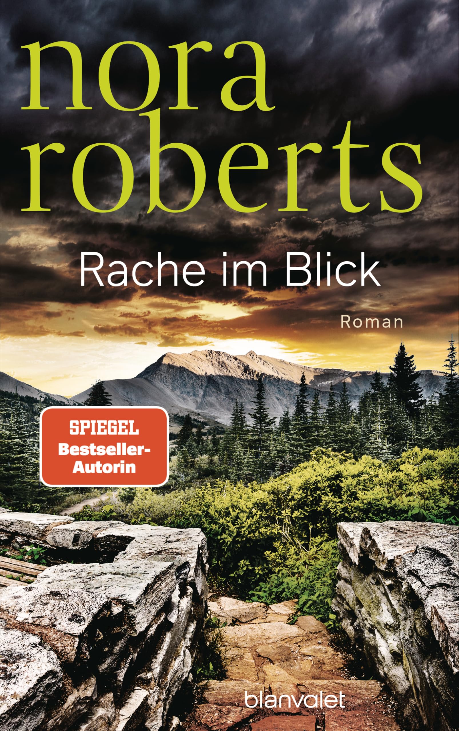 Rache im Blick Contemporary literature Books
