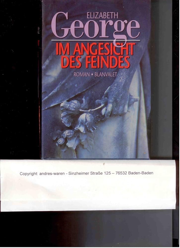 Im Angesicht des Feindes Contemporary literature Books