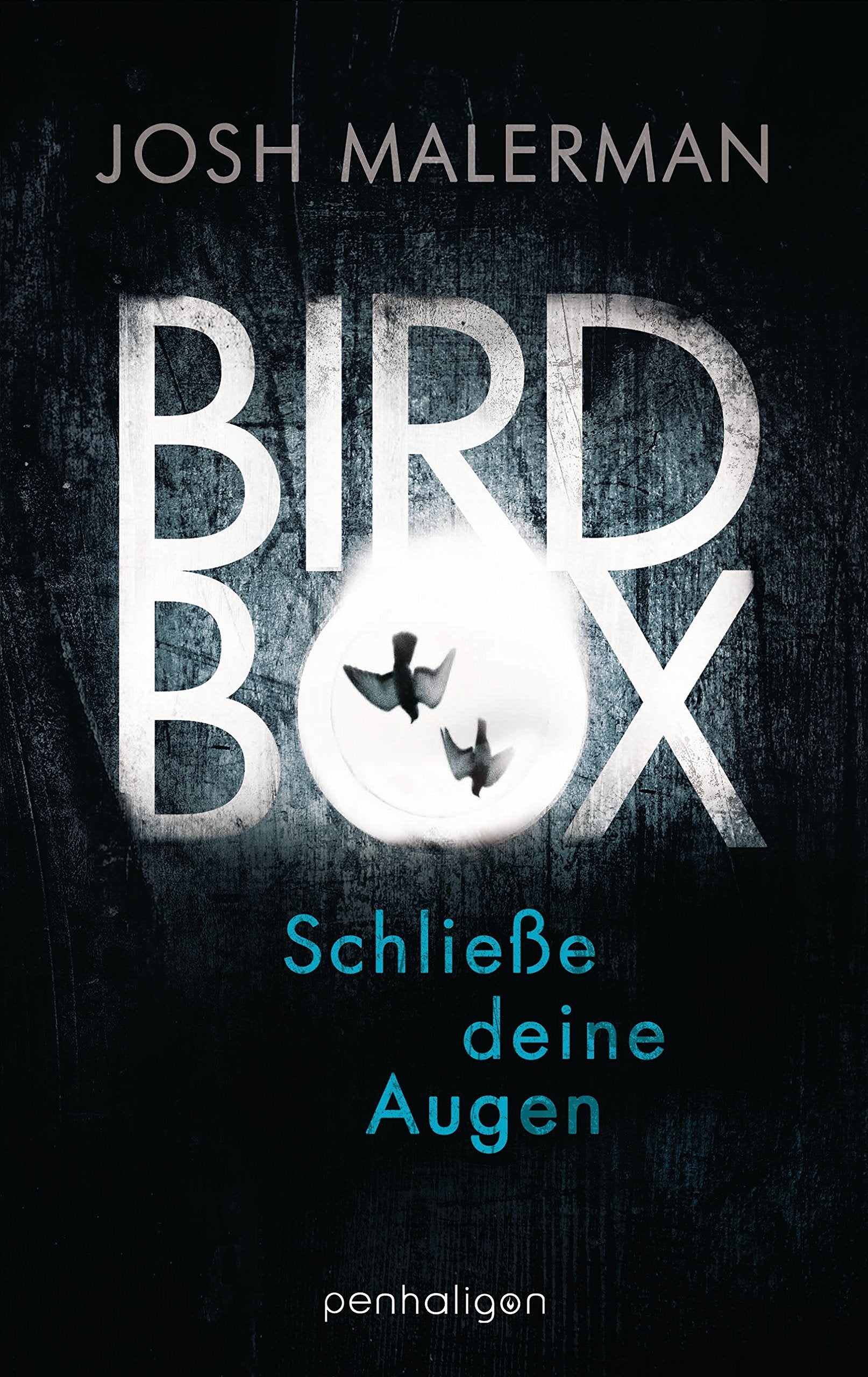 Bird Box - Schließe deine Augen Horror & Mystery