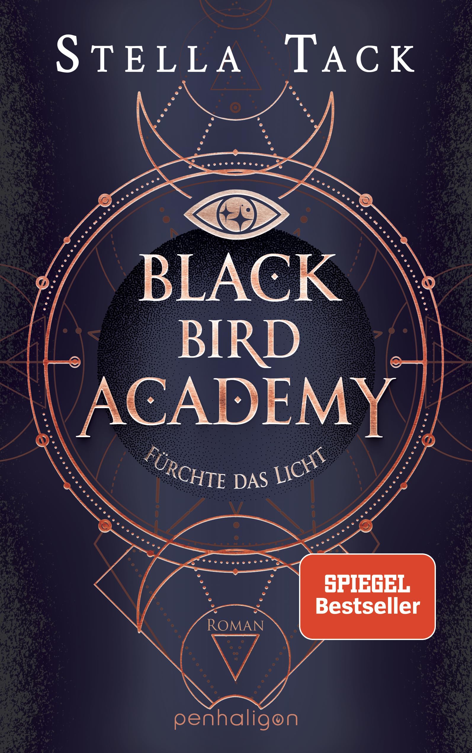 Black Bird Academy - Fürchte das Licht Contemporary literature