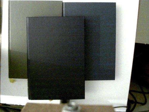 Das Echo der Schuld Contemporary literature Books