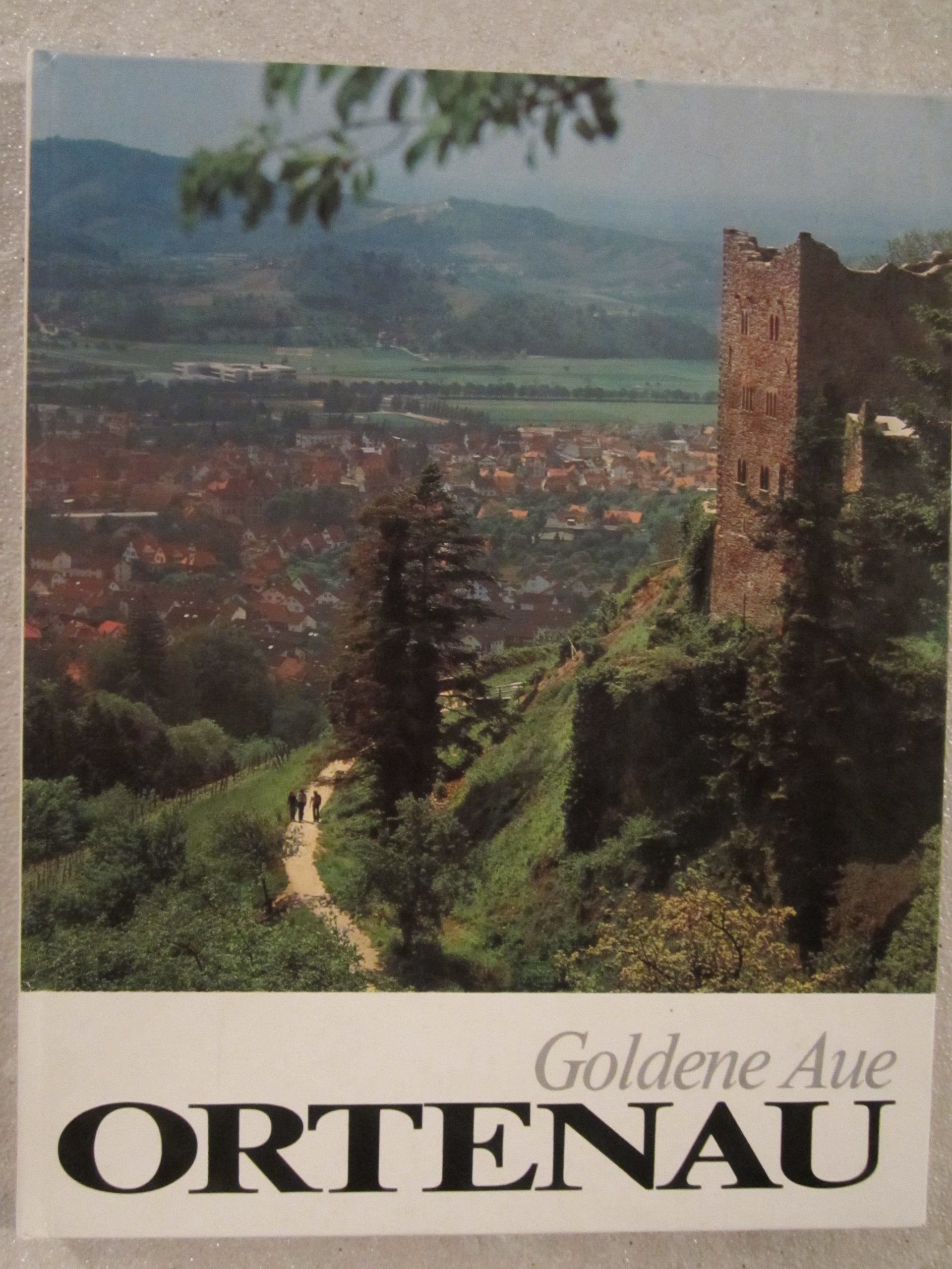 Goldene Aue Ortenau: Land zwischen Wald, Wein und Strom Books