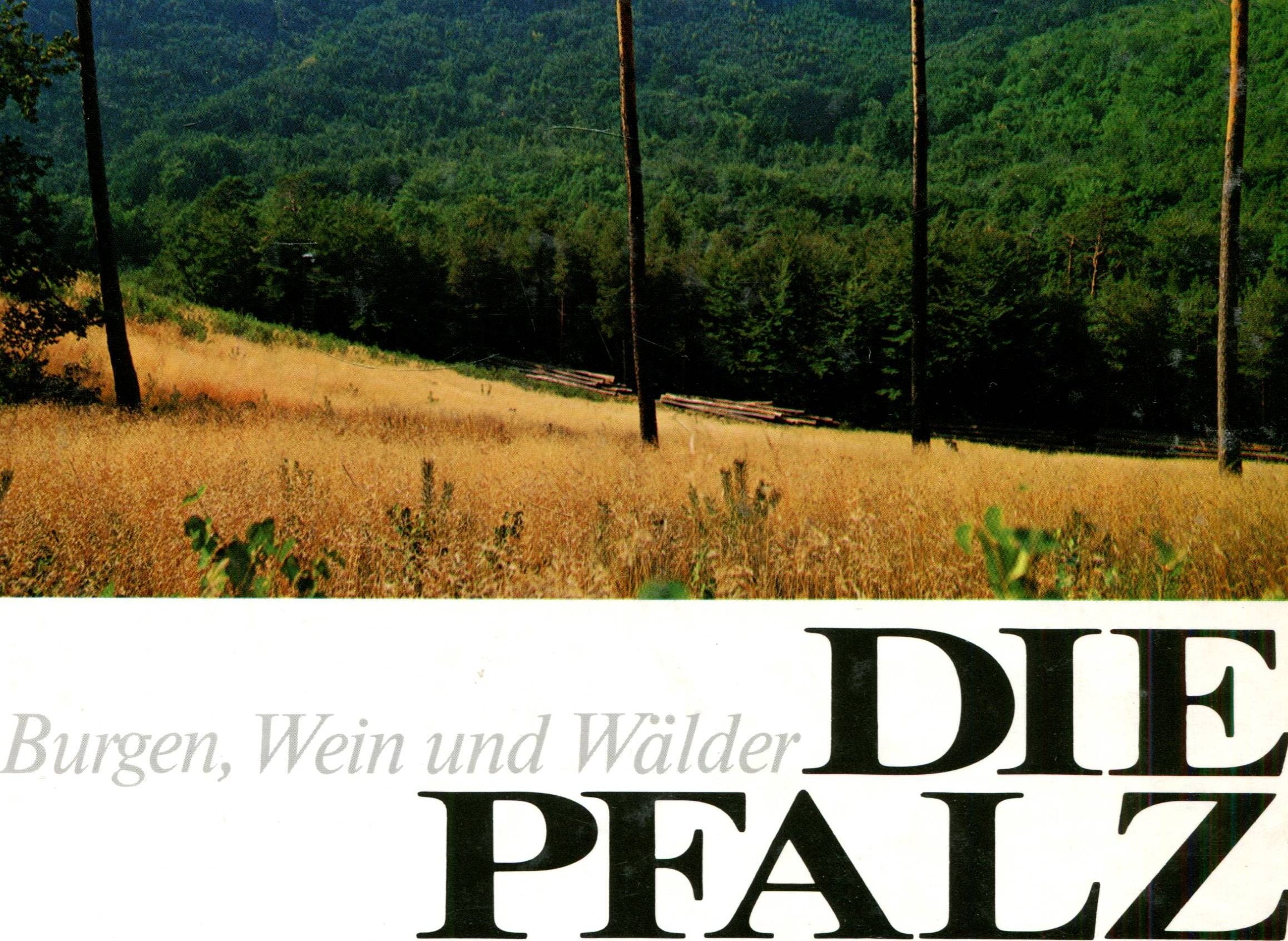 Die Pfalz Burgen, Wein und Wälder Burgen, Wein u. Wälder / Bildteil Gerd Popp. Text W. von Gropper Books