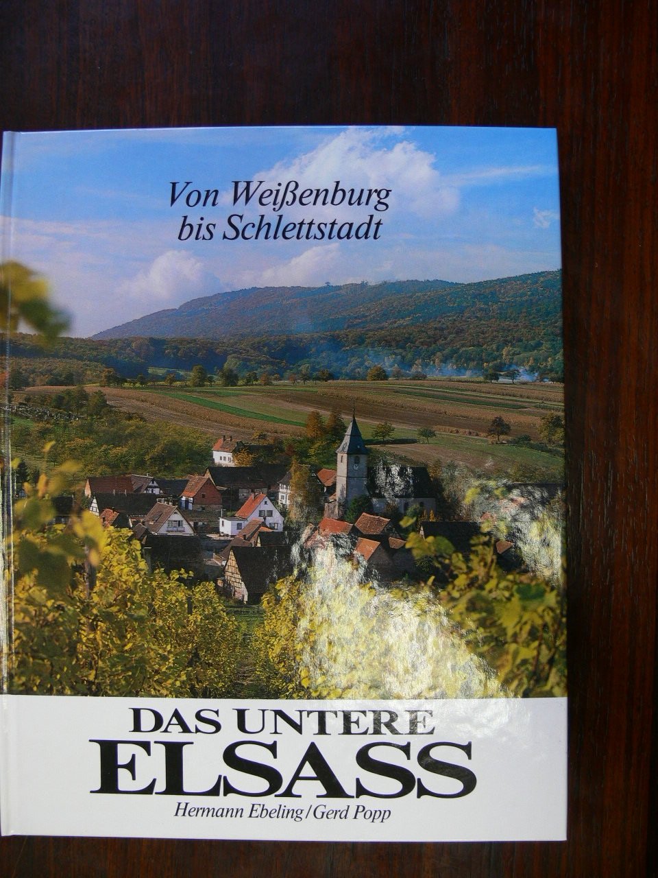 Das untere Elsass: Von Weissenburg bis Schlettstadt Books