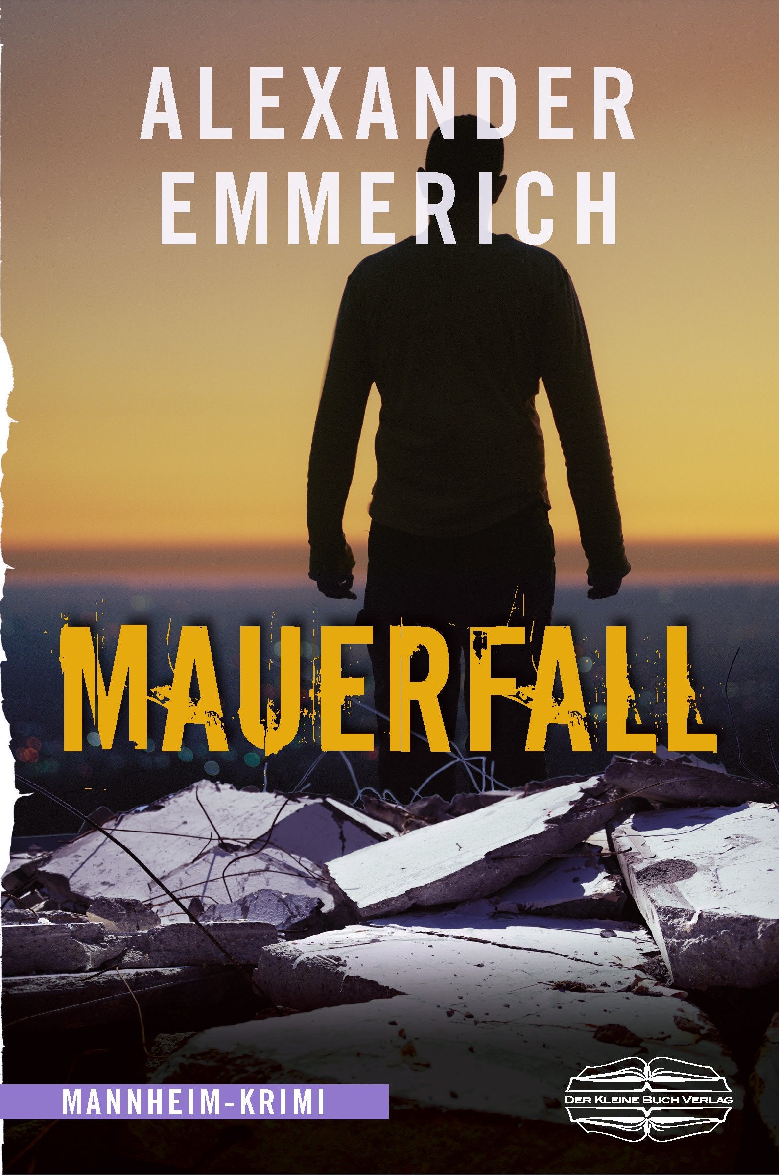 Mauerfall Contemporary literature Books