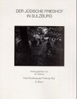 Der jüdische Friedhof in Sulzburg: Photographien. Ausstellung v. 6.-28. Okt. 1990. Hrsg.: Freie Künstlergruppe Freiburg Film, Art & Culture