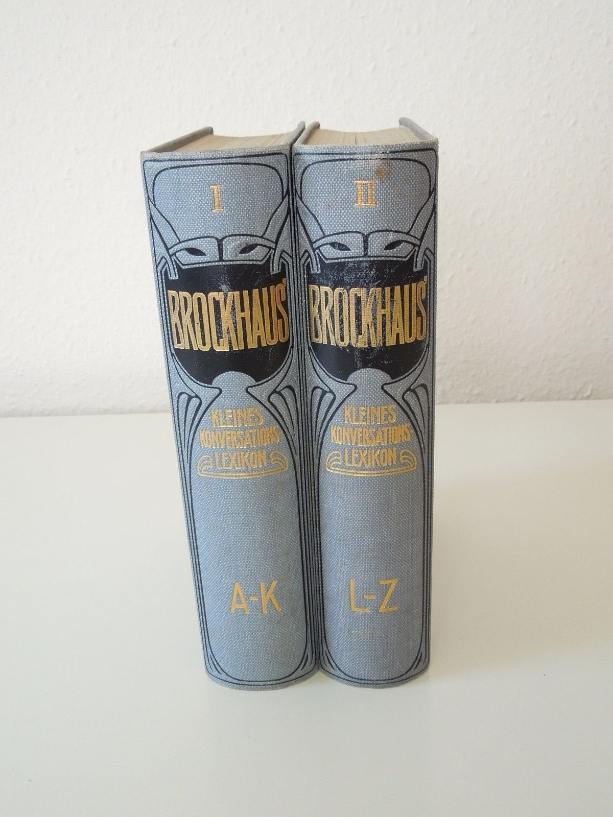 Brockhaus' kleines Konversations-Lexikon / Brockhaus' kleines Konversations-Lexikon Reference Books