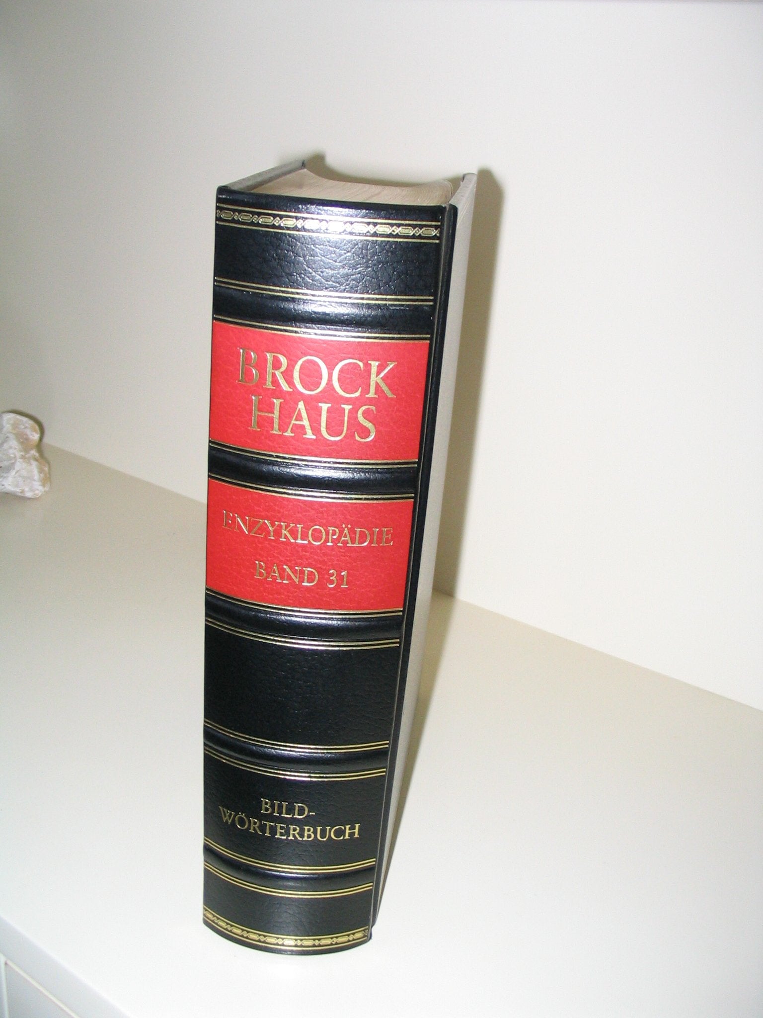 Brockhaus Enzyklopädie in 24 Bänden / Pflichtfortsetzung Band 1-24: Brockhaus Enzyklopädie, 19. Aufl., 24 Bde. m. Erg.-Bdn., Hld, Bd.31, Bildwörterbuch Deutsch-Englisch-Französisch Foreign Languages ​​& Dictionaries