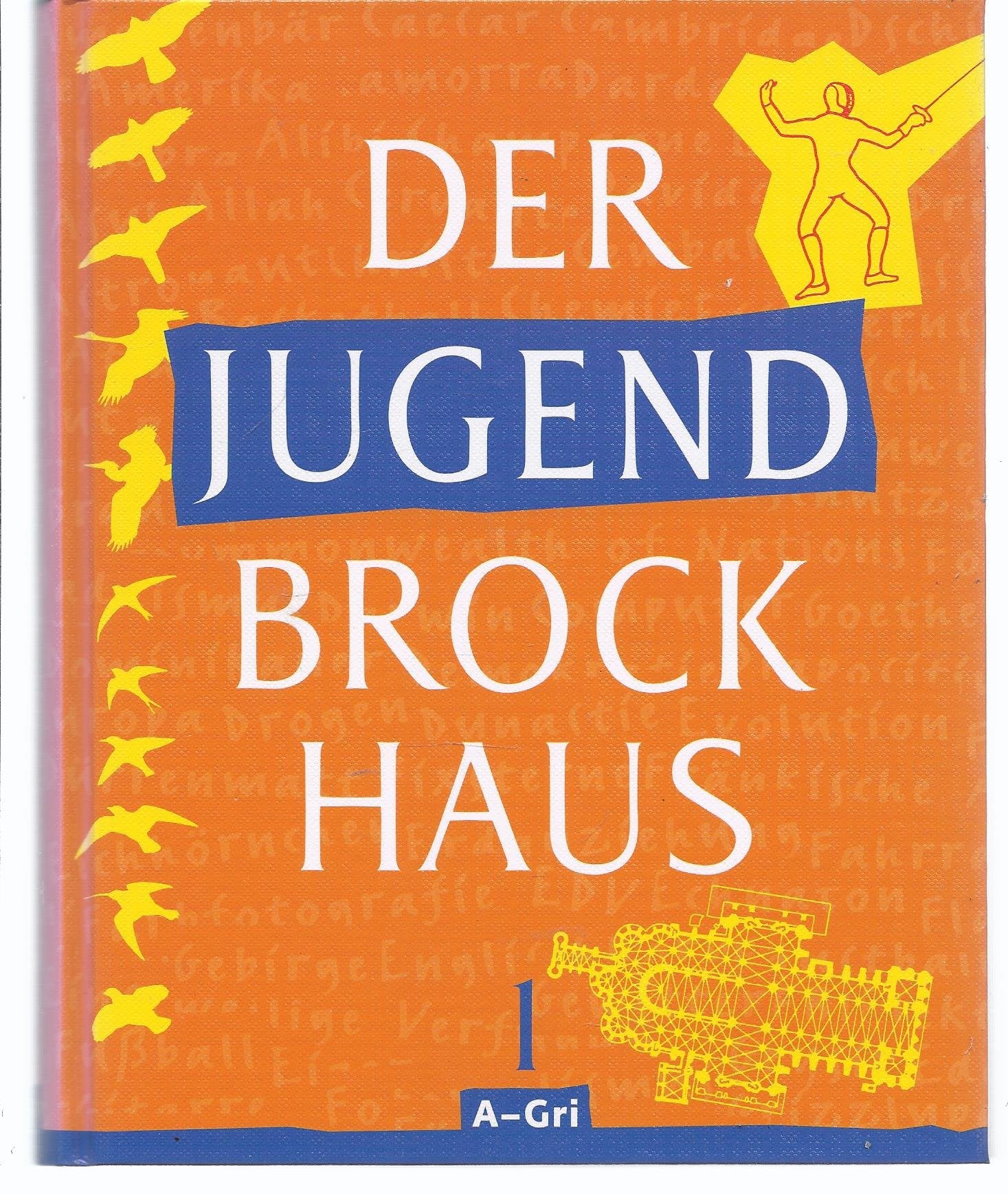 Der Jugendbrockhaus / Pflichtfortsetzung: Der Jugend-Brockhaus, 3 Bde., Bd.1, A-Gri Reference Books