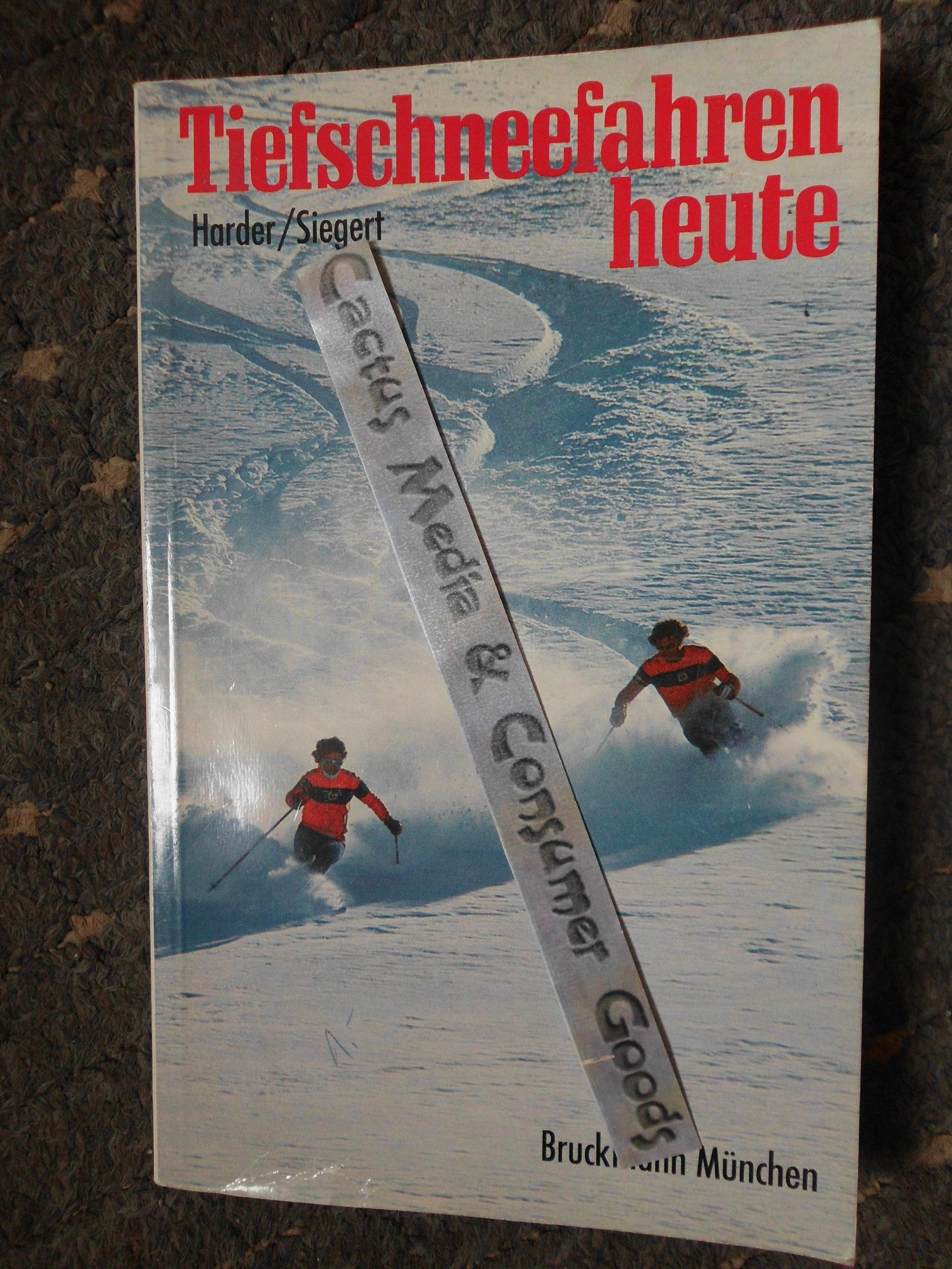 Tiefschneefahren heute: Ein Lehrbuch für Anfänger und Fortgeschrittene Leisure & Fun