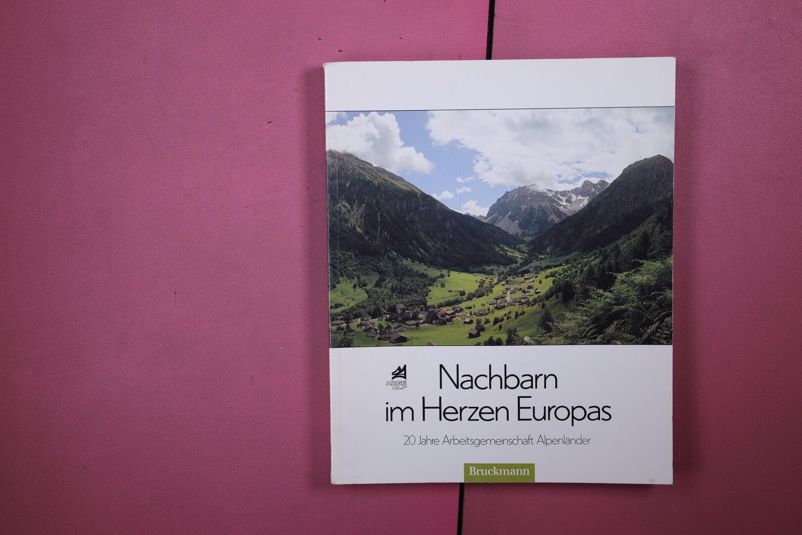 Nachbarn im Herzen Europas. 20 Jahre Arbeitsgemeinschaft Alpenländer Books