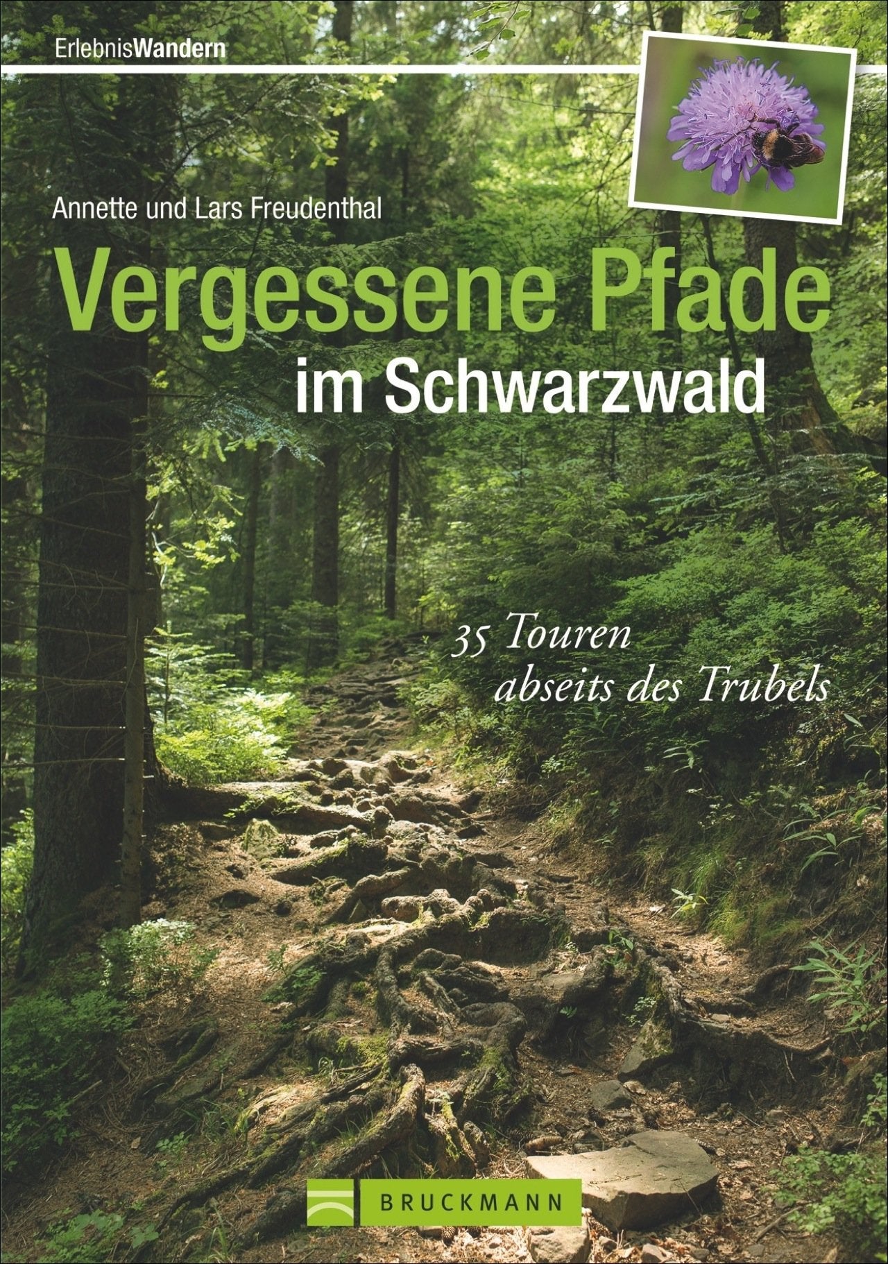 Vergessene Pfade Schwarzwald Leisure, Home & Garden