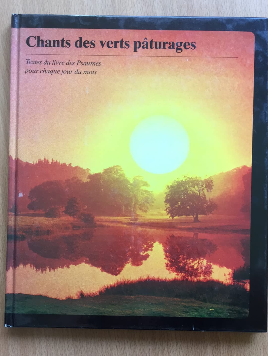Ich glaub's - Den Sprung wagen: Sieben Begegnungen mit Jesus (Serendipity - Trend) Religion & Esotericism