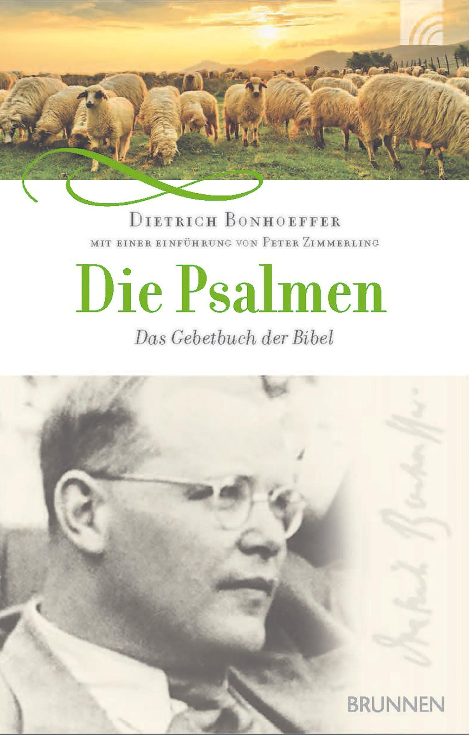 Die Psalmen Second hand books on Religion & Esotericism