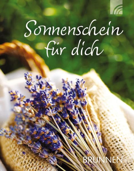 Sonnenschein für dich: Miniaturbuch Contemporary literature