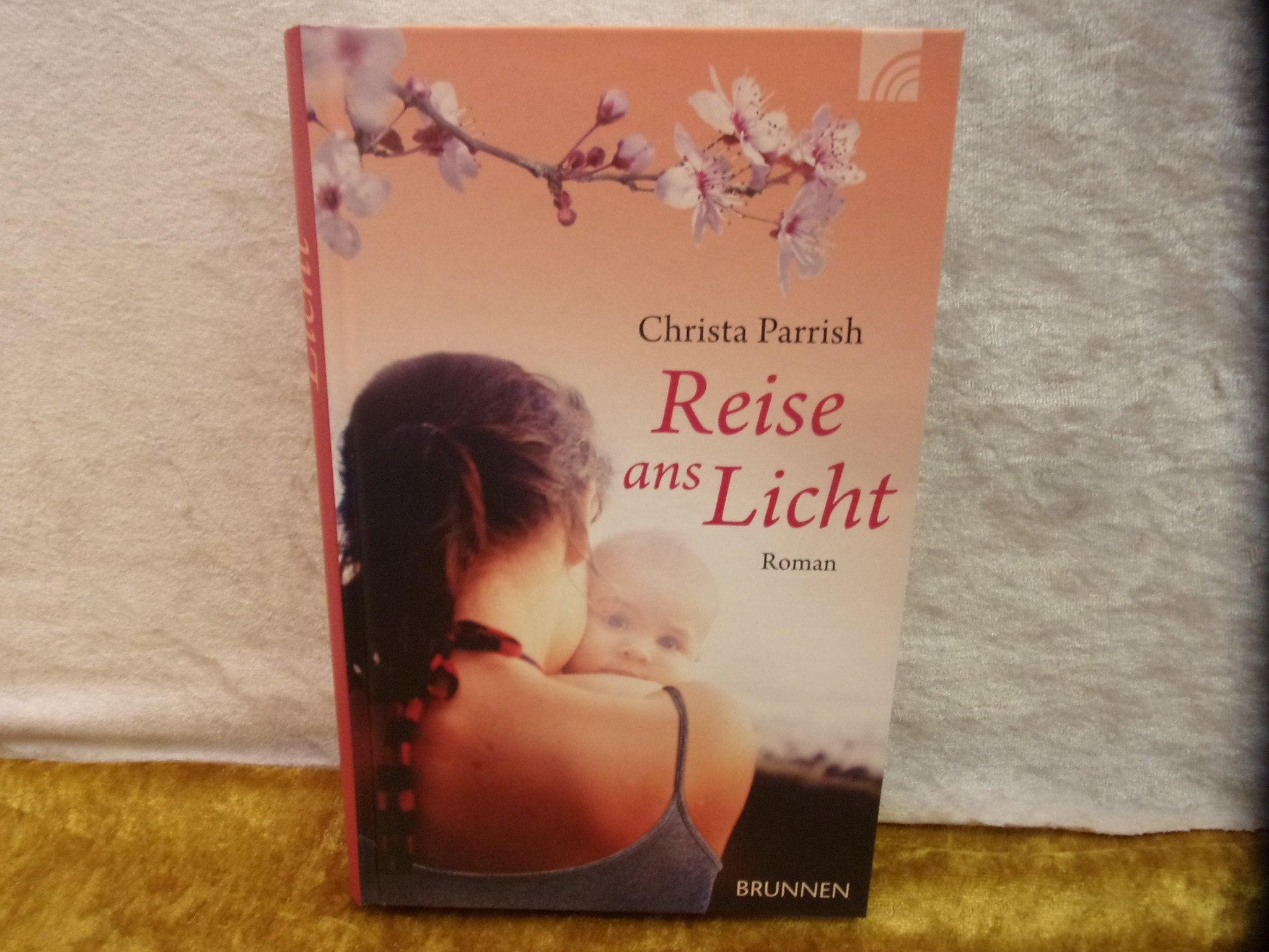 Product Image: Reise ans Licht: Roman