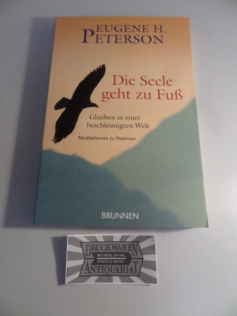 Die Seele geht zu Fuss: Glauben in einer beschleunigten Welt - Meditationen zu Psalmen Religion & Esotericism